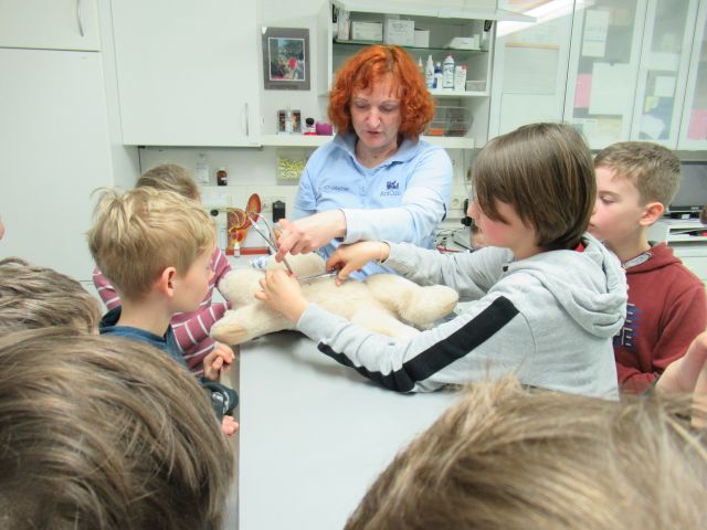 Eisbär Hugo hat eine Ohrenentzündung 