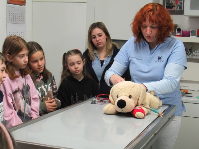 Dr. Susanne Leyh-Liebschner näht Paulas Schnittwunde